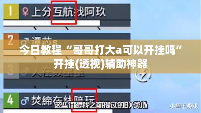 今日教程“哥哥打大a可以开挂吗	”开挂(透视)辅助神器