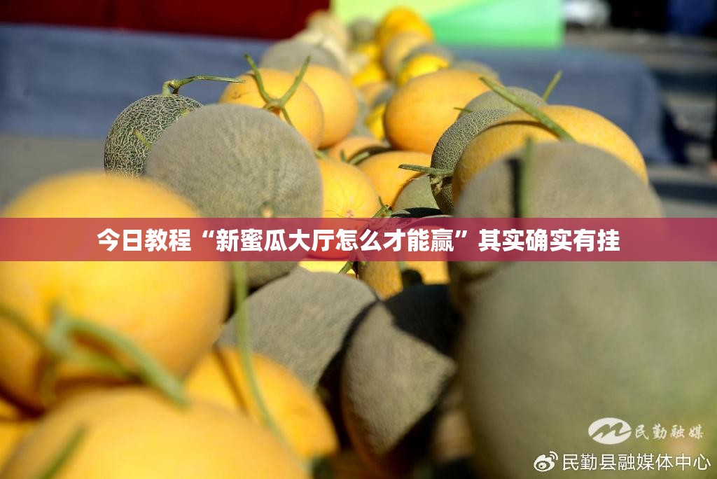 今日教程“新蜜瓜大厅怎么才能赢”其实确实有挂