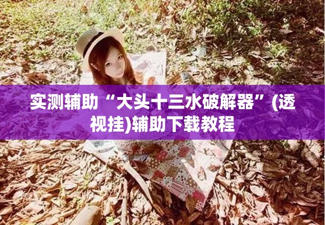 实测辅助“大头十三水破解器”(透视挂)辅助下载教程