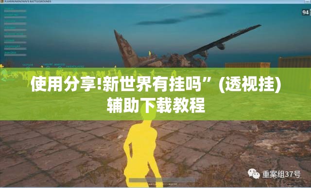 使用分享!新世界有挂吗”(透视挂)辅助下载教程