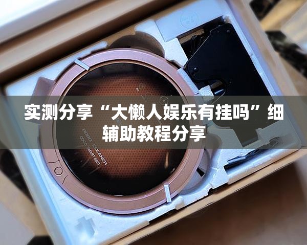 实测分享“大懒人娱乐有挂吗”细辅助教程分享