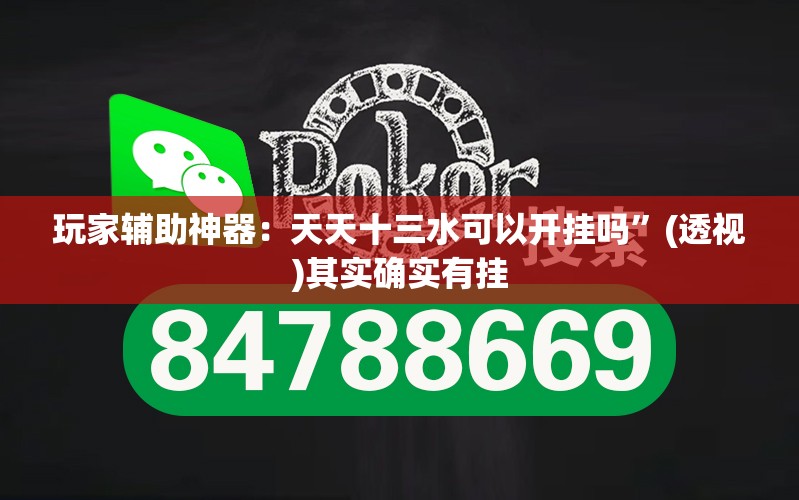 玩家辅助神器：天天十三水可以开挂吗”(透视)其实确实有挂